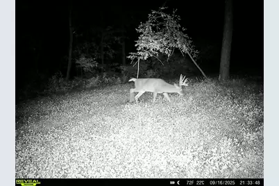 W27022 Whistle Pass Road, Dodge, WI 54661 - Photo 75