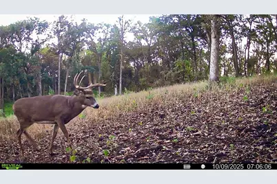 W27022 Whistle Pass Road, Dodge, WI 54661 - Photo 1