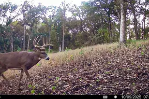 W27022 Whistle Pass Rd, Dodge, WI 54661 - Photo 1