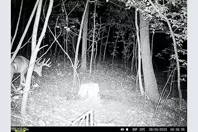 W27022 Whistle Pass Road, Dodge, WI 54661 - Photo 81