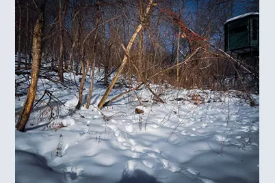 W27022 Whistle Pass Road, Dodge, WI 54661 - Photo 31