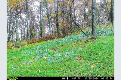 W27022 Whistle Pass Road, Dodge, WI 54661 - Photo 97