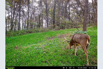 W27022 Whistle Pass Road, Dodge, WI 54661 - Photo 3