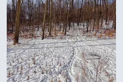 W27022 Whistle Pass Road, Dodge, WI 54661 - Photo 39