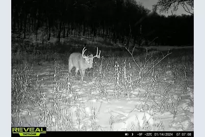 W27022 Whistle Pass Road, Dodge, WI 54661 - Photo 89