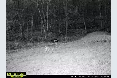 W27022 Whistle Pass Road, Dodge, WI 54661 - Photo 9