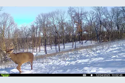 W27022 Whistle Pass Road, Dodge, WI 54661 - Photo 101