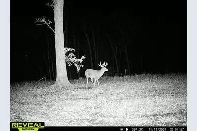 W27022 Whistle Pass Road, Dodge, WI 54661 - Photo 11