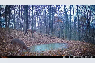 W27022 Whistle Pass Road, Dodge, WI 54661 - Photo 65