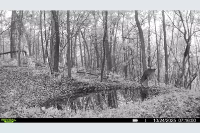 W27022 Whistle Pass Road, Dodge, WI 54661 - Photo 111