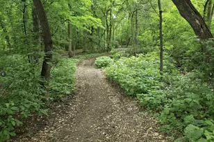 3563 Pilgrim Ln N, Plymouth, MN 55441 - Photo 21