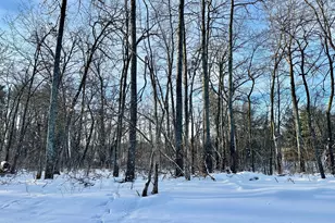 12Xxx County Road 8, Brainerd, MN 56401 - Photo 5