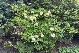 1280 Dodd Rd, Mendota Heights, MN 55118 - Photo 35