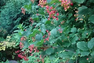 1280 Dodd Rd, Mendota Heights, MN 55118 - Photo 9