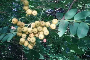 1280 Dodd Rd, Mendota Heights, MN 55118 - Photo 37