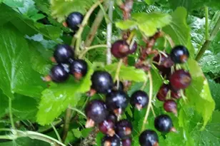 1280 Dodd Rd, Mendota Heights, MN 55118 - Photo 19