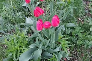 1280 Dodd Rd, Mendota Heights, MN 55118 - Photo 31