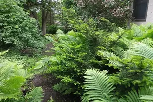 1280 Dodd Rd, Mendota Heights, MN 55118 - Photo 43