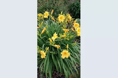 1280 Dodd Road, Mendota Heights, MN 55118 - Photo 31