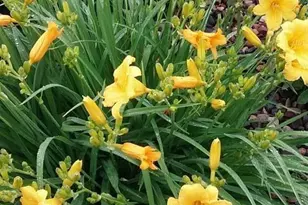 1280 Dodd Rd, Mendota Heights, MN 55118 - Photo 31