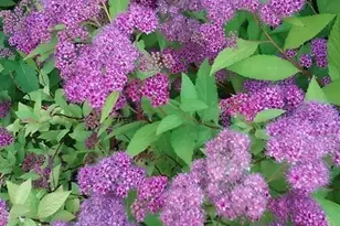 1280 Dodd Rd, Mendota Heights, MN 55118 - Photo 19