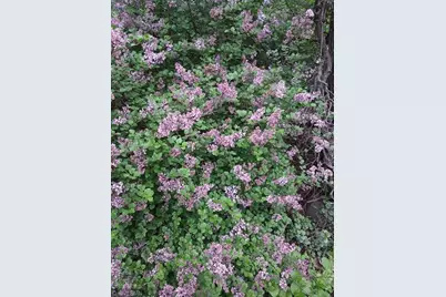 1280 Dodd Road, Mendota Heights, MN 55118 - Photo 39