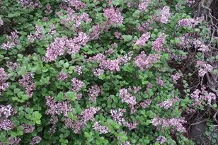 1280 Dodd Rd, Mendota Heights, MN 55118 - Photo 39