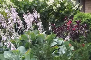 1280 Dodd Rd, Mendota Heights, MN 55118 - Photo 61