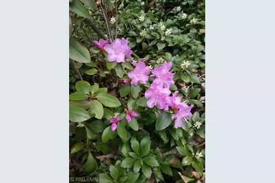 1280 Dodd Road, Mendota Heights, MN 55118 - Photo 25