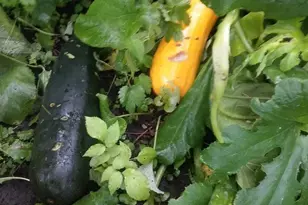 1280 Dodd Rd, Mendota Heights, MN 55118 - Photo 33