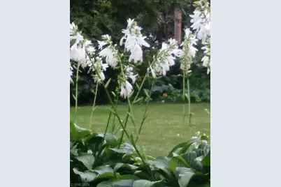 1280 Dodd Road, Mendota Heights, MN 55118 - Photo 49