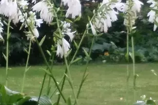 1280 Dodd Rd, Mendota Heights, MN 55118 - Photo 49