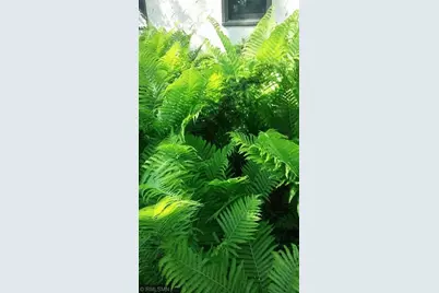 1280 Dodd Road, Mendota Heights, MN 55118 - Photo 51