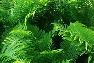 1280 Dodd Rd, Mendota Heights, MN 55118 - Photo 51