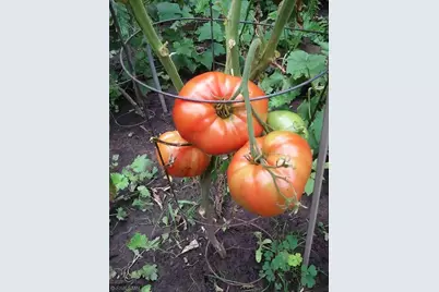 1280 Dodd Road, Mendota Heights, MN 55118 - Photo 47