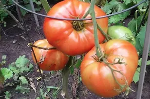 1280 Dodd Rd, Mendota Heights, MN 55118 - Photo 47