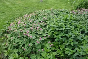 1280 Dodd Rd, Mendota Heights, MN 55118 - Photo 5