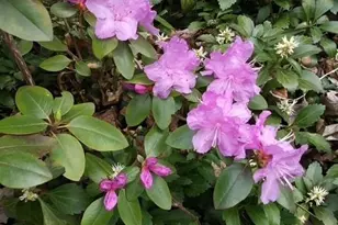 1280 Dodd Rd, Mendota Heights, MN 55118 - Photo 17