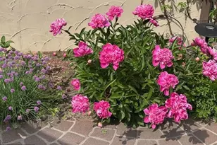 1280 Dodd Rd, Mendota Heights, MN 55118 - Photo 7