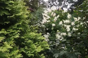 1280 Dodd Rd, Mendota Heights, MN 55118 - Photo 63