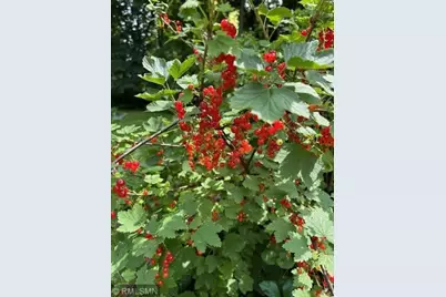 1280 Dodd Road, Mendota Heights, MN 55118 - Photo 17