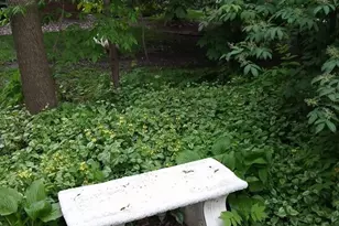 1280 Dodd Rd, Mendota Heights, MN 55118 - Photo 29