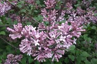 1280 Dodd Rd, Mendota Heights, MN 55118 - Photo 25