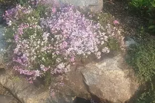 1280 Dodd Rd, Mendota Heights, MN 55118 - Photo 29