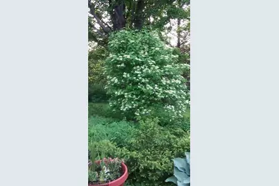 1280 Dodd Road, Mendota Heights, MN 55118 - Photo 53