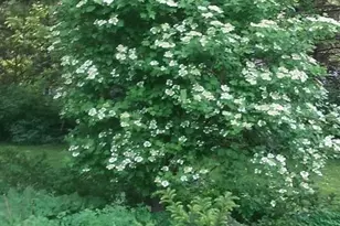 1280 Dodd Rd, Mendota Heights, MN 55118 - Photo 53