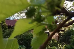 1280 Dodd Rd, Mendota Heights, MN 55118 - Photo 15