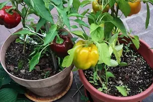 1280 Dodd Rd, Mendota Heights, MN 55118 - Photo 35