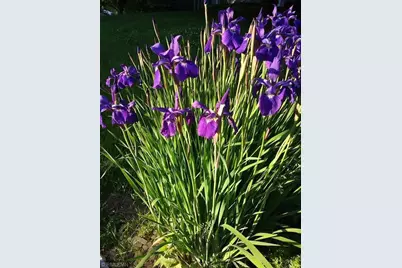 1280 Dodd Road, Mendota Heights, MN 55118 - Photo 59