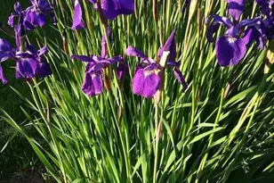 1280 Dodd Rd, Mendota Heights, MN 55118 - Photo 59